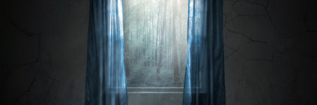 ¿Cómo purificar tu casa? 10 métodos eficaces