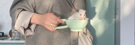 La Rata en la astrología china, descubre su personalidad