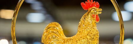 El Gallo en la astrología china: ¿quién es realmente?