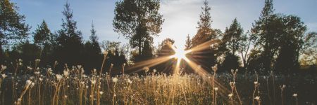 Litha, ¿qué ritual para el solsticio de verano?