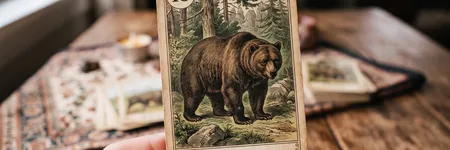 El Oso en el Tarot Lenormand: significado
