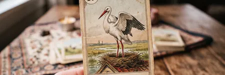 La Cigüeña en el Tarot Lenormand: significado