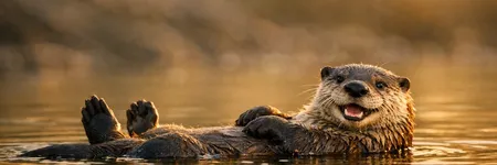 La nutria como animal tótem: símbolo y significado