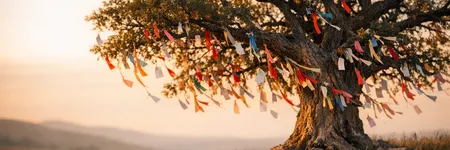 El árbol de los deseos: historia, sentido y tradición