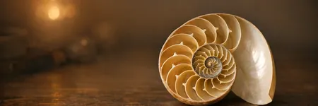 Número áureo: Descubre su significado profundo y su influencia