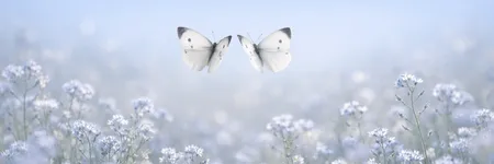 Cómo volver loco a un Géminis en 5 frases ♊🦋