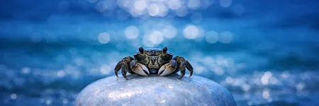 Cómo volver loco a un Cáncer en 5 frases ♋🦀
