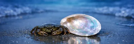 La verdad que Cáncer NO quiere escuchar ♋🦀