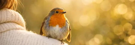 Significado espiritual de un pájaro que se posa en ti