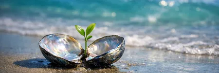 Lo que Piscis debe desaprender para evolucionar ♓🌱