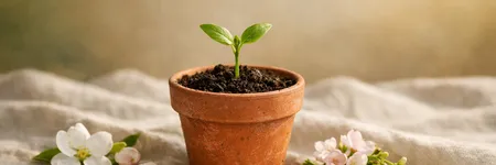 Lo que Tauro debe desaprender para evolucionar ♉🌱